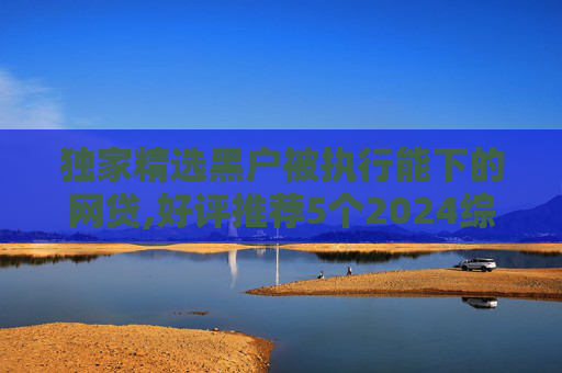 独家精选黑户被执行能下的网贷,好评推荐5个2024综合评分不足也能借钱的网贷有哪些