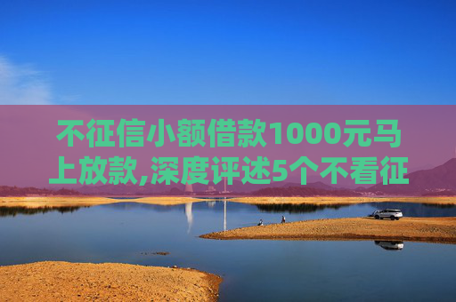 不征信小额借款1000元马上放款,深度评述5个不看征信秒下款的口子有哪些