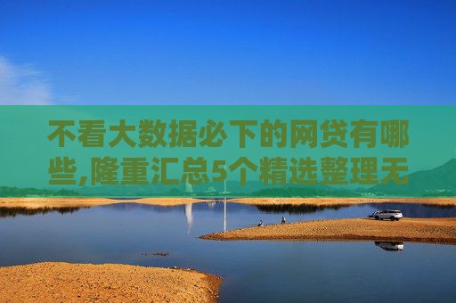 不看大数据必下的网贷有哪些,隆重汇总5个精选整理无视黑白好下款的软件