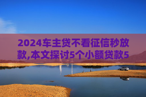 2024车主贷不看征信秒放款,本文探讨5个小额贷款5000急用好下款的口子