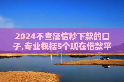 2024不查征信秒下款的口子,专业概括5个现在借款平台哪个利息低