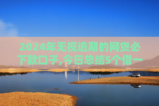 2024年无视逾期的网贷必下款口子,今日总结5个借一千的小额贷款平台有哪些