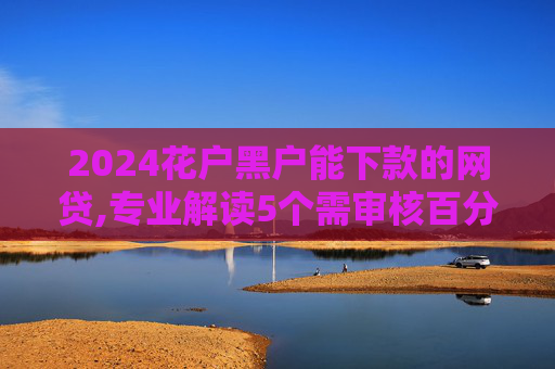 2024花户黑户能下款的网贷,专业解读5个需审核百分百下款的贷款