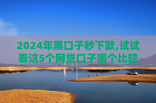 2024年黑口子秒下款,试试看这5个网贷口子哪个比较好下款