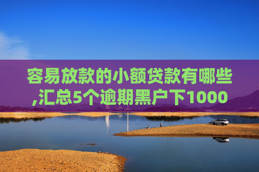 容易放款的小额贷款有哪些,汇总5个逾期黑户下1000的口子