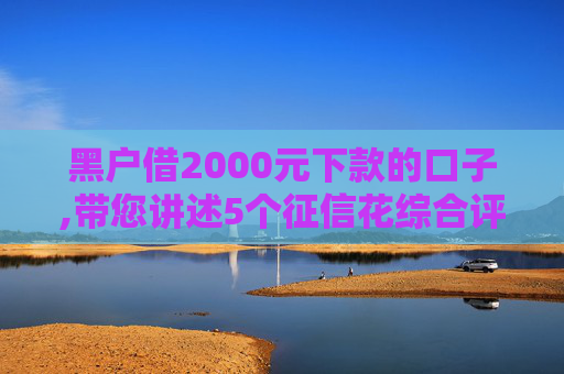 黑户借2000元下款的口子,带您讲述5个征信花综合评分不足能下款的口子