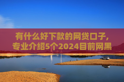 有什么好下款的网贷口子,专业介绍5个2024目前网黑能下款的口子