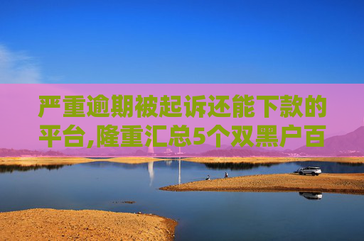 严重逾期被起诉还能下款的平台,隆重汇总5个双黑户百分百下款的口子有哪些