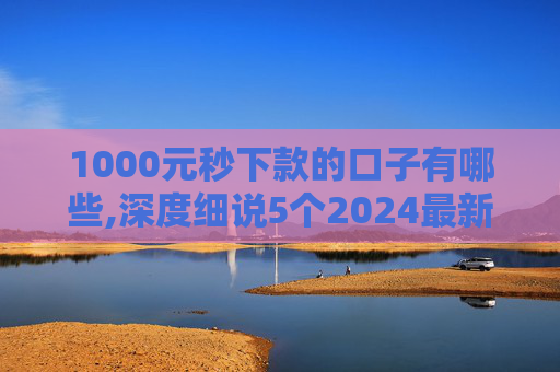 1000元秒下款的口子有哪些,深度细说5个2024最新黑户下款口子