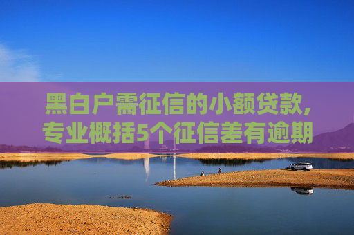 黑白户需征信的小额贷款,专业概括5个征信差有逾期还能借款的平台
