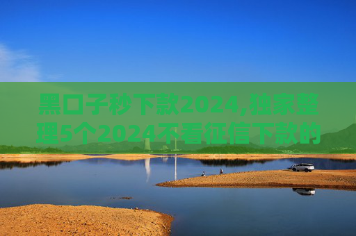 黑口子秒下款2024,独家整理5个2024不看征信下款的网贷