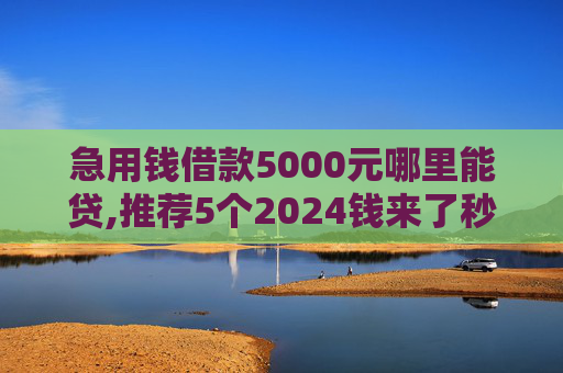 急用钱借款5000元哪里能贷,推荐5个2024钱来了秒下款黑白户