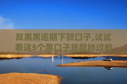 双黑黑逾期下款口子,试试看这5个黑口子贷款秒过的口子2024