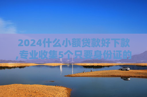 2024什么小额贷款好下款,专业收集5个只要身份证的小额贷款