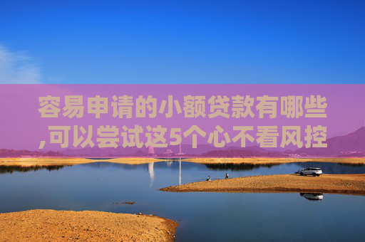 容易申请的小额贷款有哪些,可以尝试这5个心不看风控强制下款的网贷
