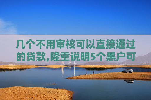几个不用审核可以直接通过的贷款,隆重说明5个黑户可以办什么贷款