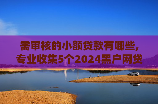 需审核的小额贷款有哪些,专业收集5个2024黑户网贷下app