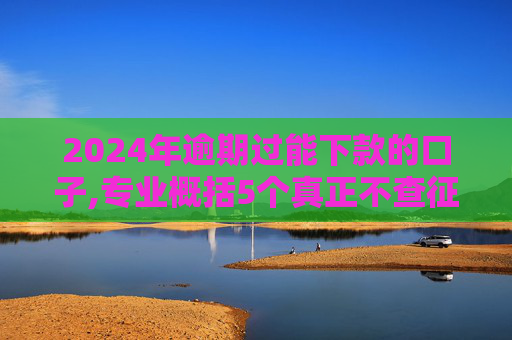 2024年逾期过能下款的口子,专业概括5个真正不查征信的贷款平台有哪些