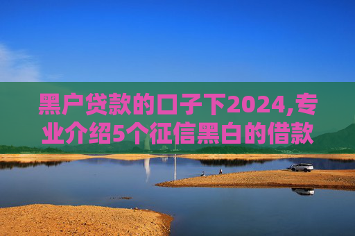 黑户贷款的口子下2024,专业介绍5个征信黑白的借款平台
