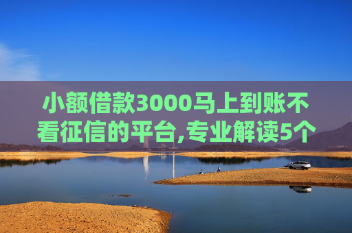 小额借款3000马上到账不看征信的平台,专业解读5个2024年不用征信就能借钱的平台