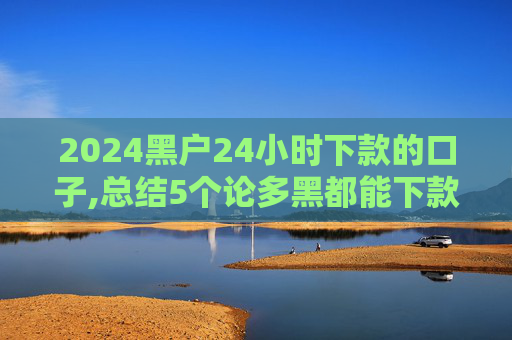 2024黑户24小时下款的口子,总结5个论多黑都能下款的口子  第1张