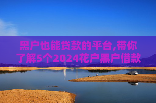 黑户也能贷款的平台,带你了解5个2024花户黑户借款下口子