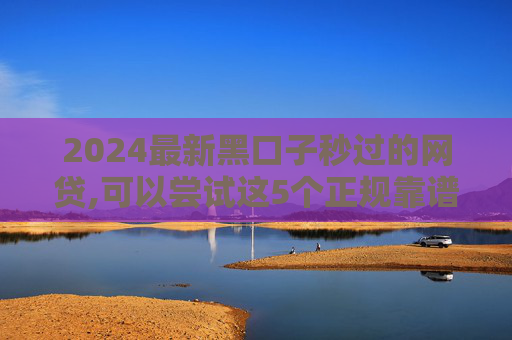 2024最新黑口子秒过的网贷,可以尝试这5个正规靠谱的小额贷款有哪些