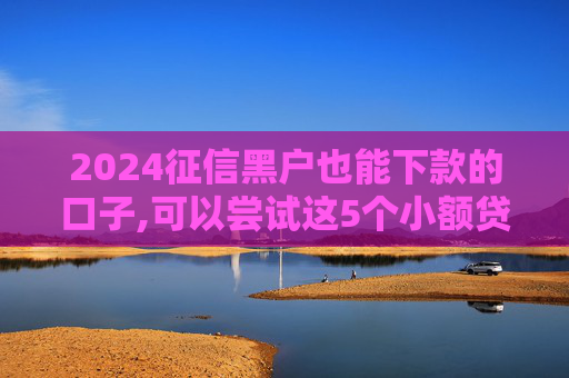 2024征信黑户也能下款的口子,可以尝试这5个小额贷款哪个最好通过