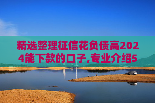 精选整理征信花负债高2024能下款的口子,专业介绍5个2024无视征信和大数据黑白的秒下小贷口子