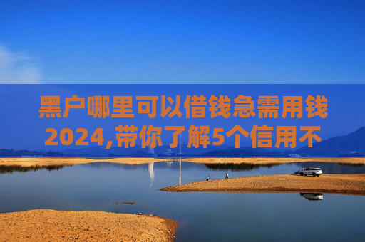 黑户哪里可以借钱急需用钱2024,带你了解5个信用不太好的可以借款的平台有哪些