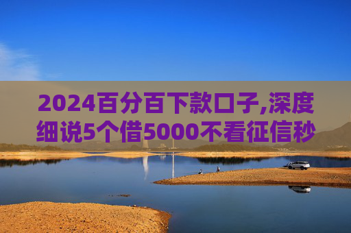2024百分百下款口子,深度细说5个借5000不看征信秒下款的平台2024  第1张