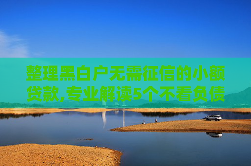 整理黑白户无需征信的小额贷款,专业解读5个不看负债和征信的贷款平台