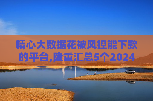 精心大数据花被风控能下款的平台,隆重汇总5个2024哪个软件好借钱  第1张