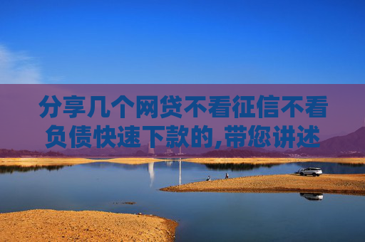 分享几个网贷不看征信不看负债快速下款的,带您讲述5个2024年网贷有哪个好过的