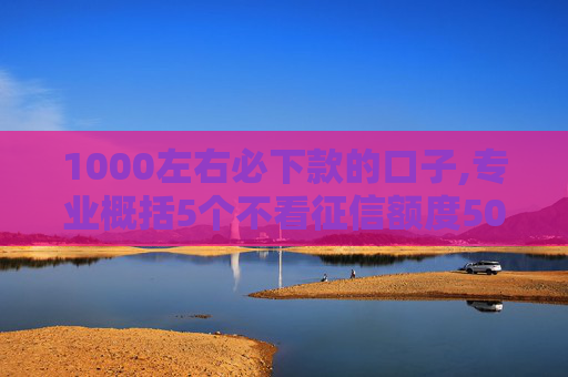 1000左右必下款的口子,专业概括5个不看征信额度5000的小额贷款