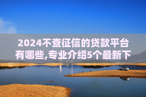 2024不查征信的贷款平台有哪些,专业介绍5个最新下款的网贷口子2024有哪些