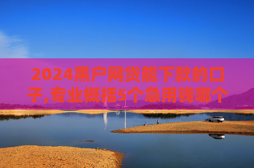 2024黑户网贷能下款的口子,专业概括5个急用钱哪个平台比较好下款