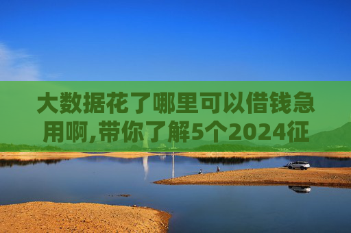 大数据花了哪里可以借钱急用啊,带你了解5个2024征信逾期也能下款的口子有哪些