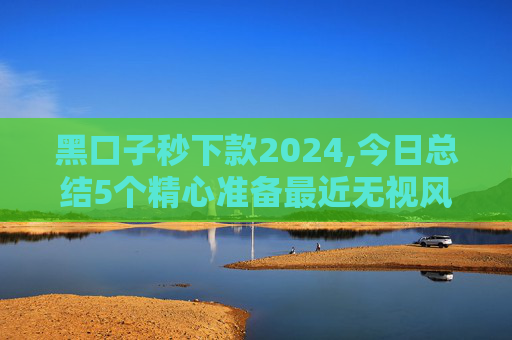 黑口子秒下款2024,今日总结5个精心准备最近无视风控能下款的口子
